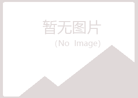 吉林晓夏采矿有限公司